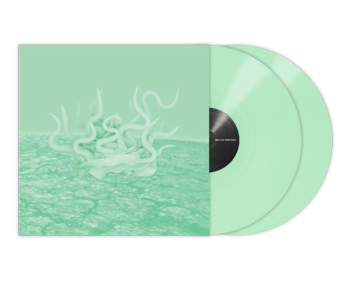 Serato 12” Pastel Green Vinyl (Pair)