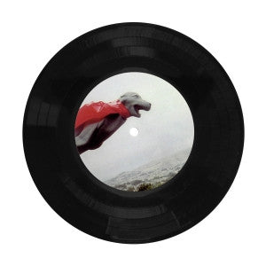 Skratchy Seal - Training Wheels 12" Vinyl