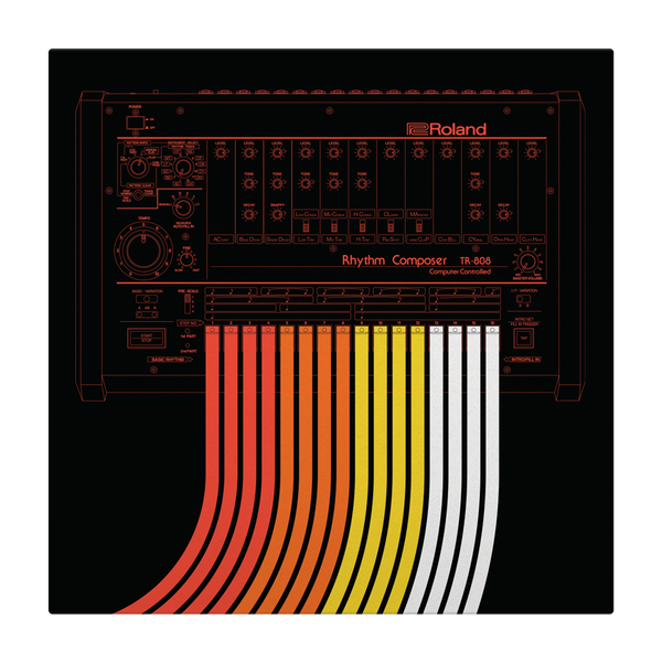 Roland TR-808 X Serato 12" Vinyl (Pair)