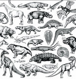 Moschops - Skratch Fossils 12